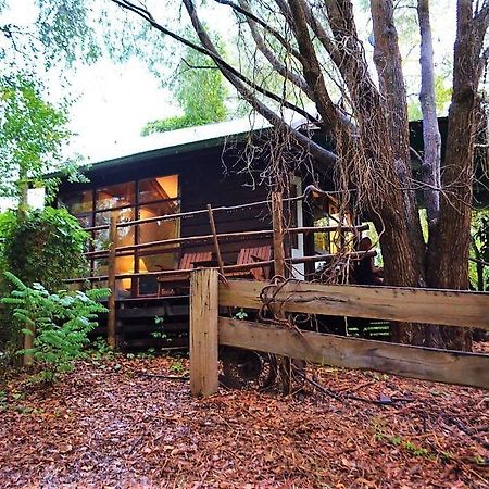 Black Cockatoo Lodge Nannup Zewnętrze zdjęcie