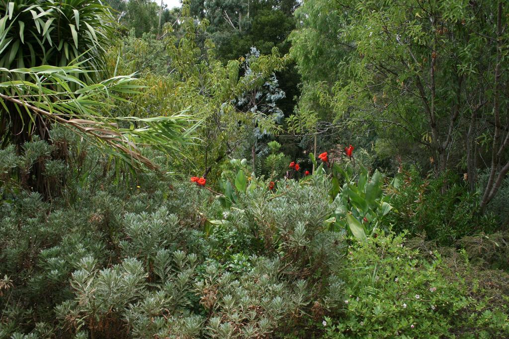 Black Cockatoo Lodge Nannup Zewnętrze zdjęcie