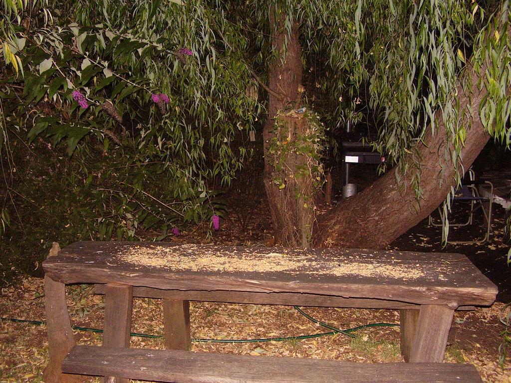 Black Cockatoo Lodge Nannup Zewnętrze zdjęcie