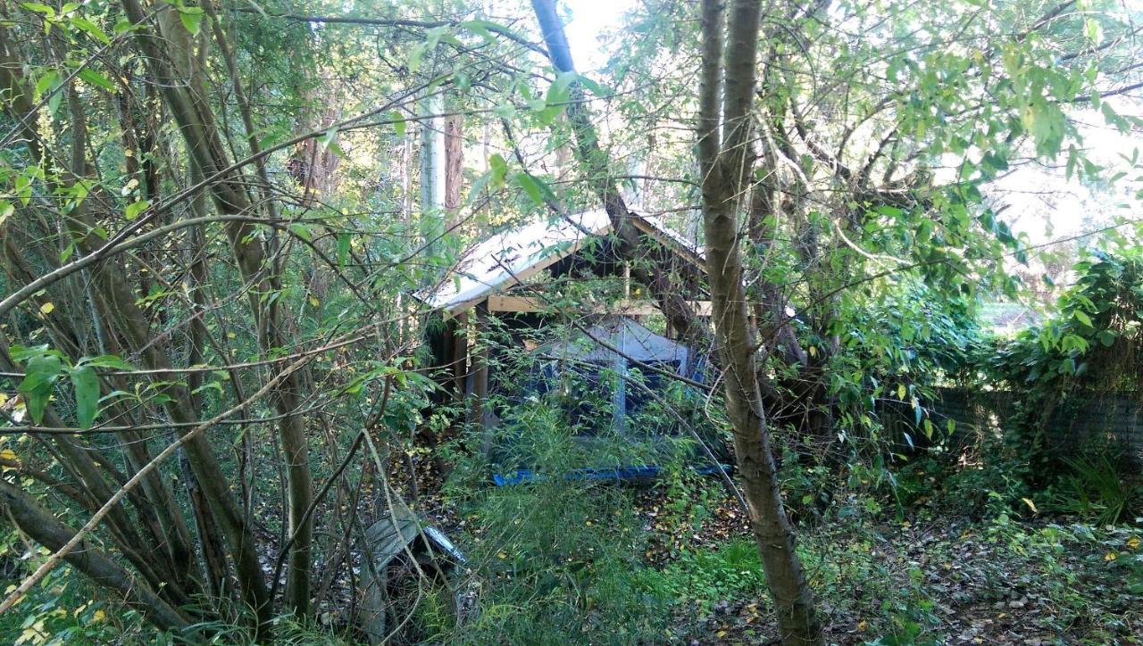 Black Cockatoo Lodge Nannup Zewnętrze zdjęcie